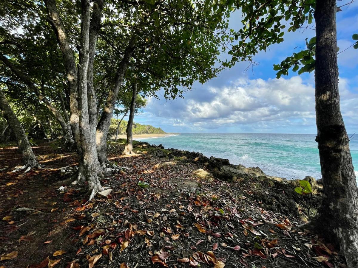 Cabarete Maravilla Eco Lodge Boutique Beach Surf Encuentro, Kite, By Aa Crypto Group المظهر الخارجي الصورة