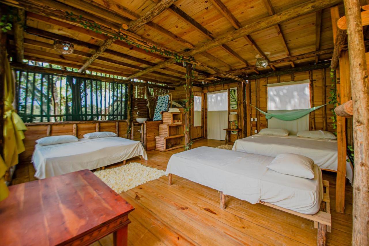 Cabarete Maravilla Eco Lodge Boutique Beach Surf Encuentro, Kite, By Aa Crypto Group المظهر الخارجي الصورة
