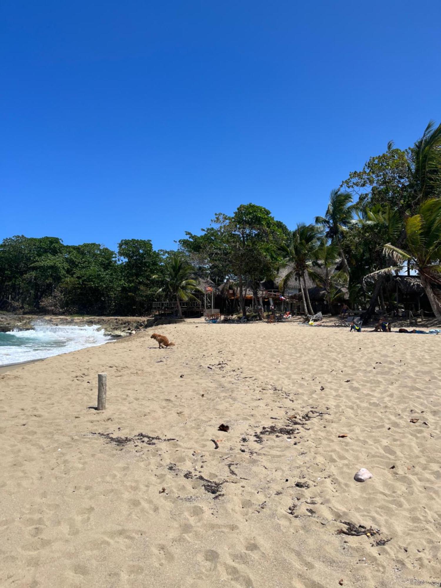 Cabarete Maravilla Eco Lodge Boutique Beach Surf Encuentro, Kite, By Aa Crypto Group المظهر الخارجي الصورة