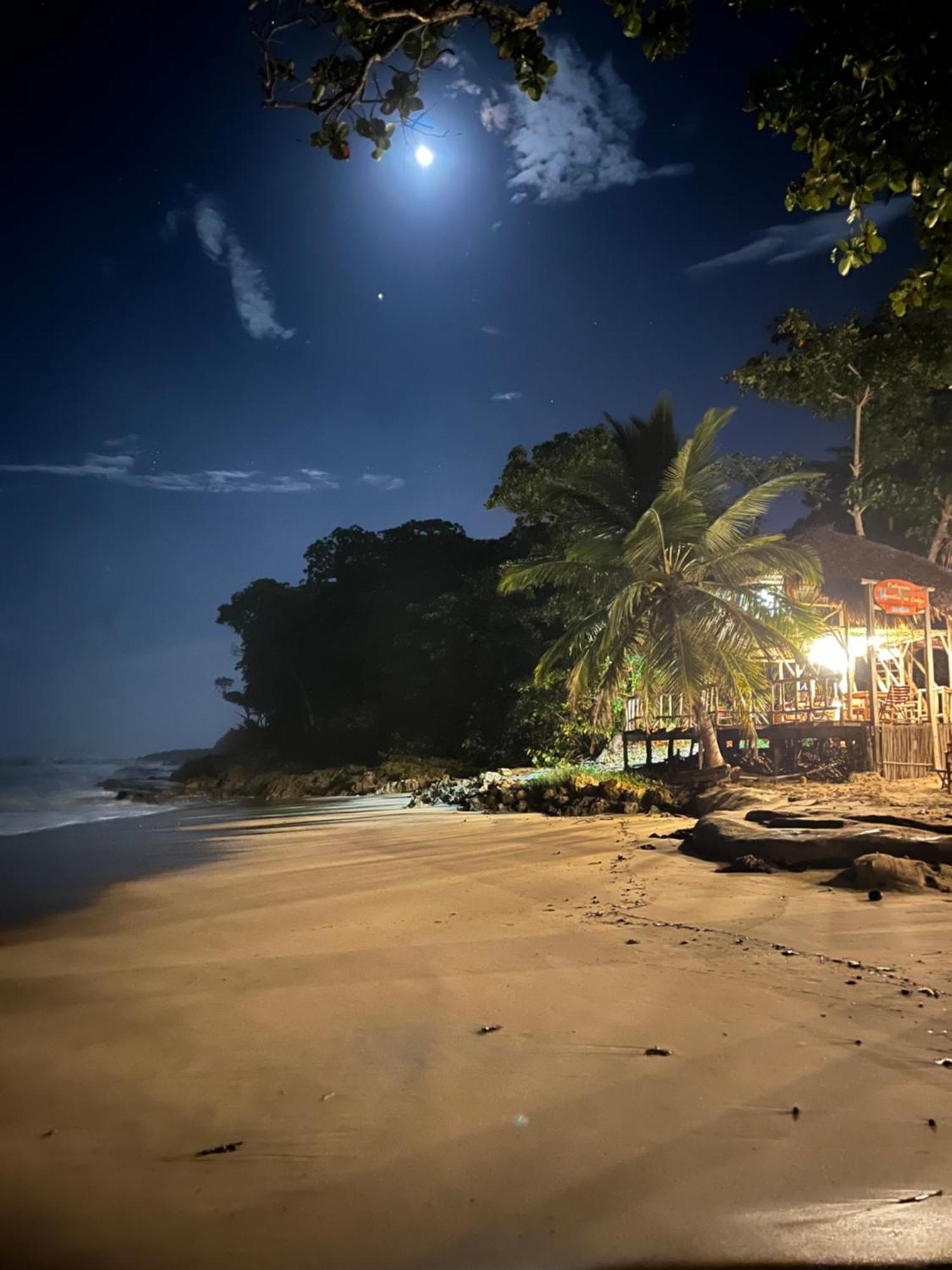 Cabarete Maravilla Eco Lodge Boutique Beach Surf Encuentro, Kite, By Aa Crypto Group المظهر الخارجي الصورة